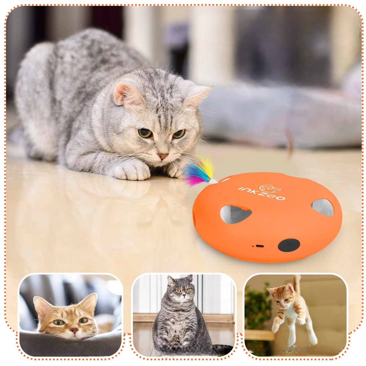 PlumeMagique™ - Orange - Chaton Chat