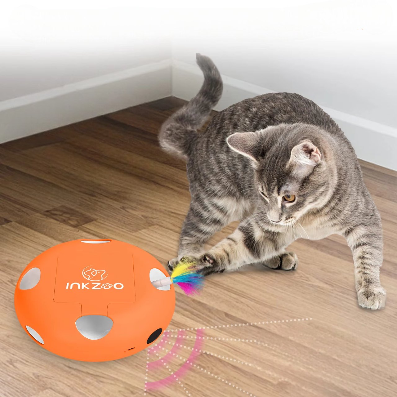 PlumeMagique™ - Orange - Chaton Chat