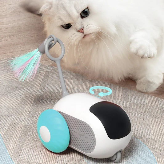 ToyFunCats™ - Bleu - Chaton Chat