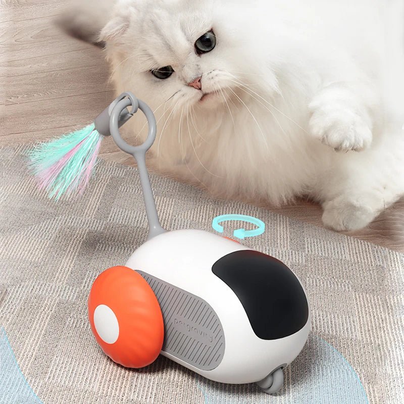 ToyFunCats™ - Orange - Chaton Chat